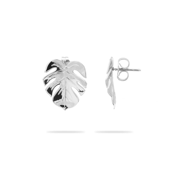 Monstera Earrings in White Gold - 15mm - Maui Divers Jewelry