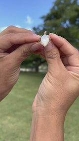 Video of a woman's hand wearing a Honu Mother of Pearl Ring in Gold - 18mm-Maui Divers Jewelry