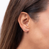 Hawaiian Heritage Earrings in Gold-Maui Divers Jewelry