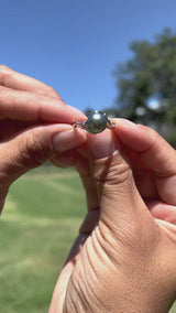 Video of a woman'hand holding a Hawaiian Heritage Tahitian Black Pearl Ring in 14K White Gold-Maui Divers Jewelry