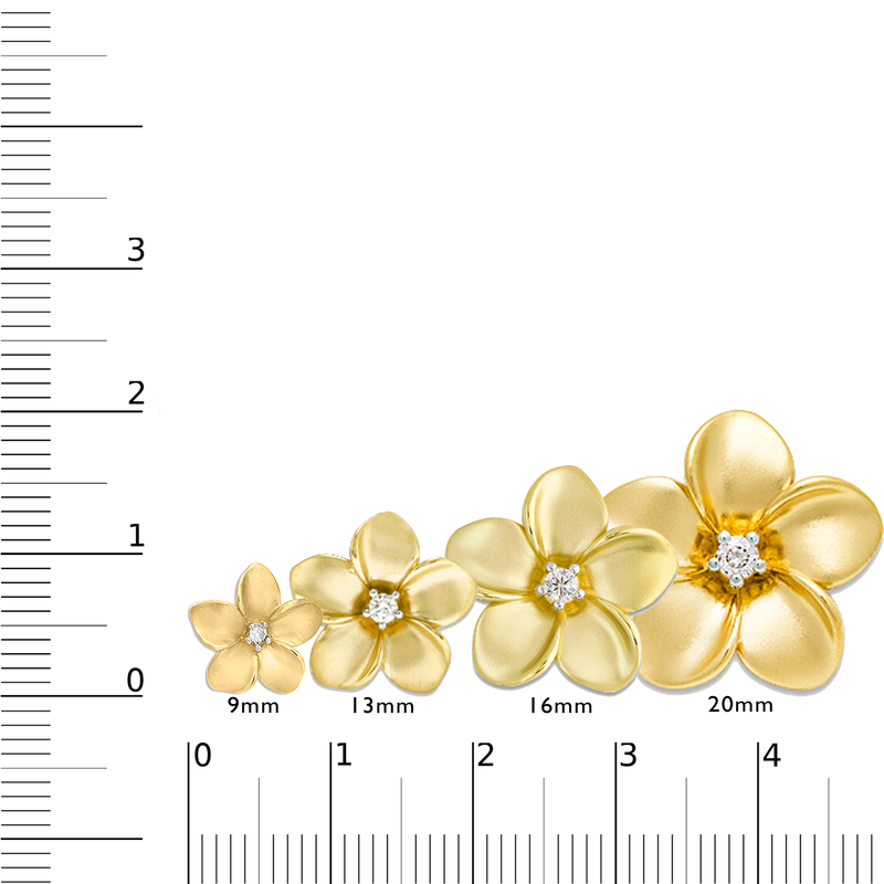Four different sizes of Plumeria on a Ruler - Maui Divers Jewelry